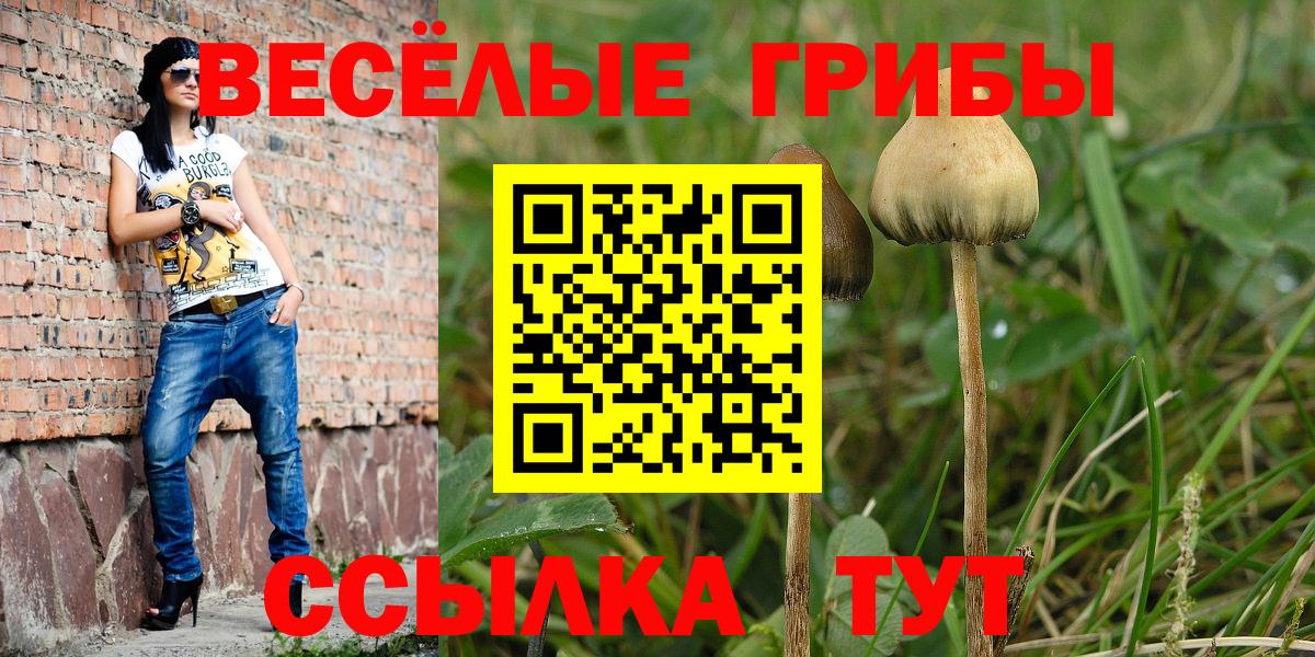 Норильск  Галлюциногенные грибы GOLDEN TEACHER  Вход с VPN 