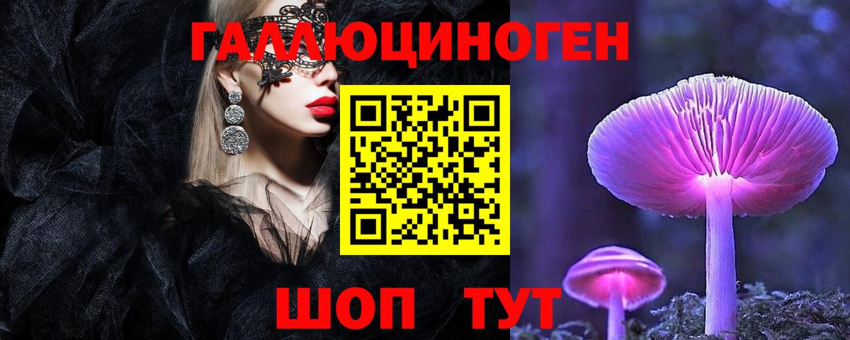 Галлюциногенные грибы Psilocybine cubensis Норильск